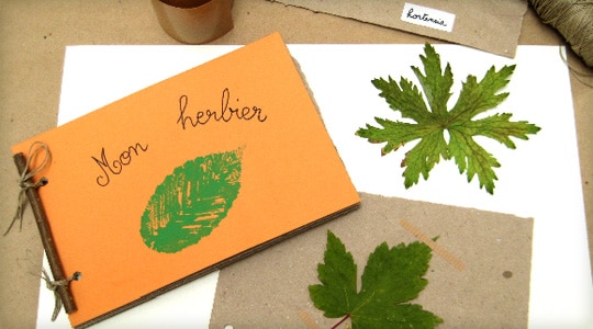 Page De Garde D'un Herbier Fait Avec Des Branches