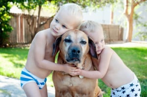 chien-enfants