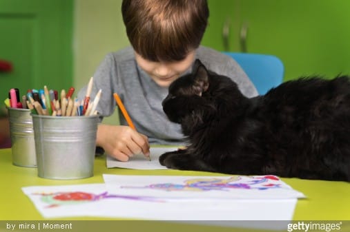 Un chat pour mon enfant