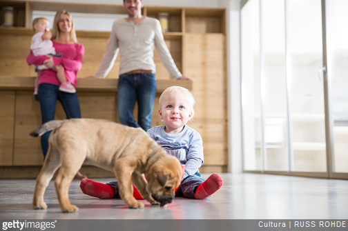 Conseils pour apprendre à votre enfant à savoir bien se comporter en face d'un chien