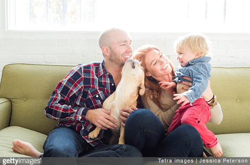 C'est en apprenant à votre enfant la notion de respect du chien et de respect de son espace le plus tôt possible que vous éviterez les accidents.