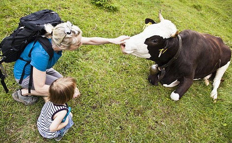 enfant-visite-ferme