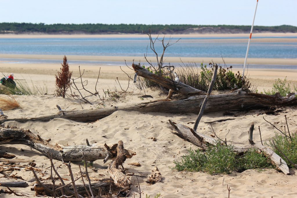 Une plage de l'île de ré