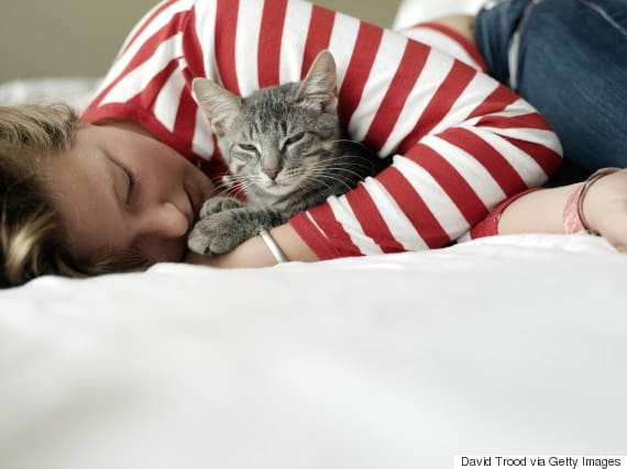 chat