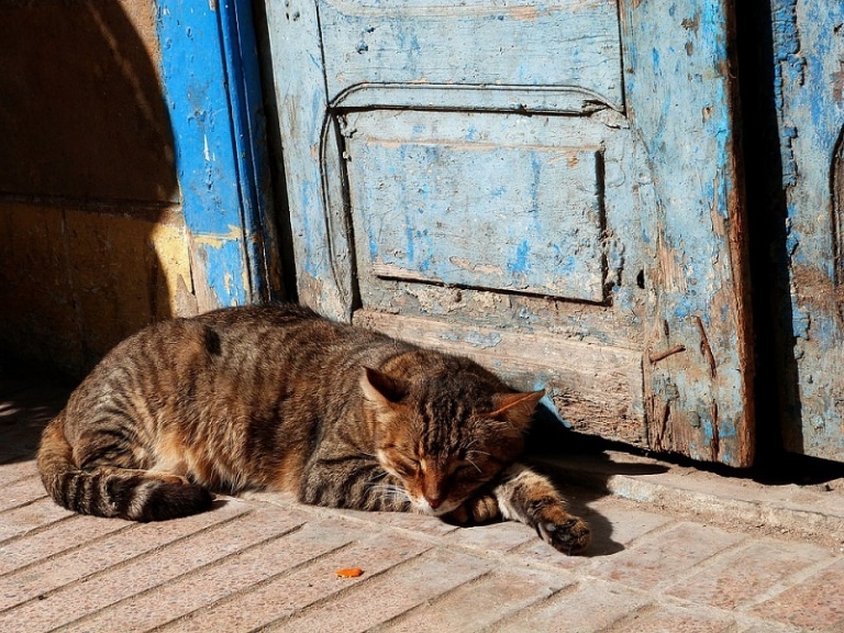 Expliquer le sommeil aux enfants