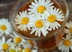 Phytotherapie santé par les plantes