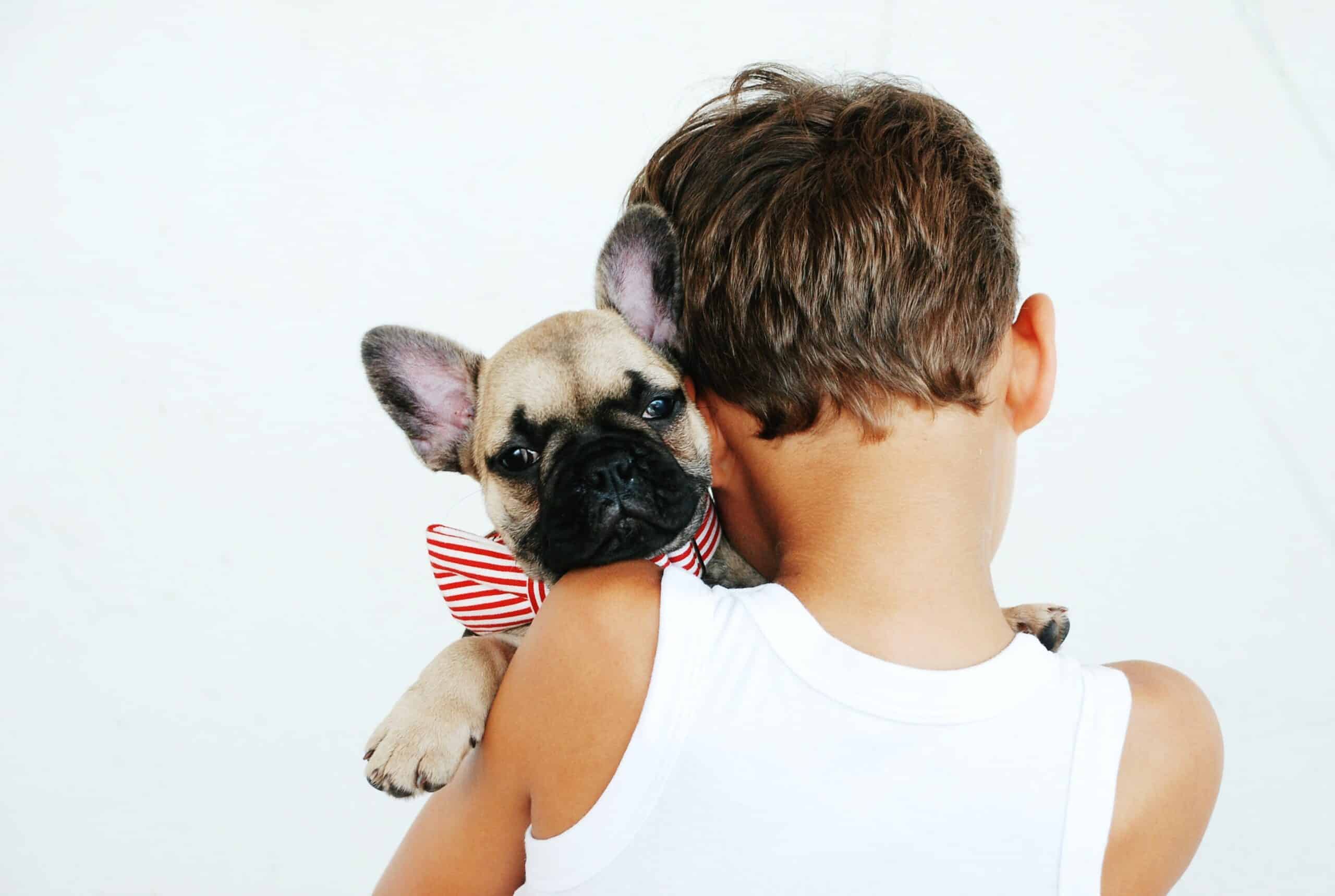 Un petit garçon avec un chiot carlin dans les bras