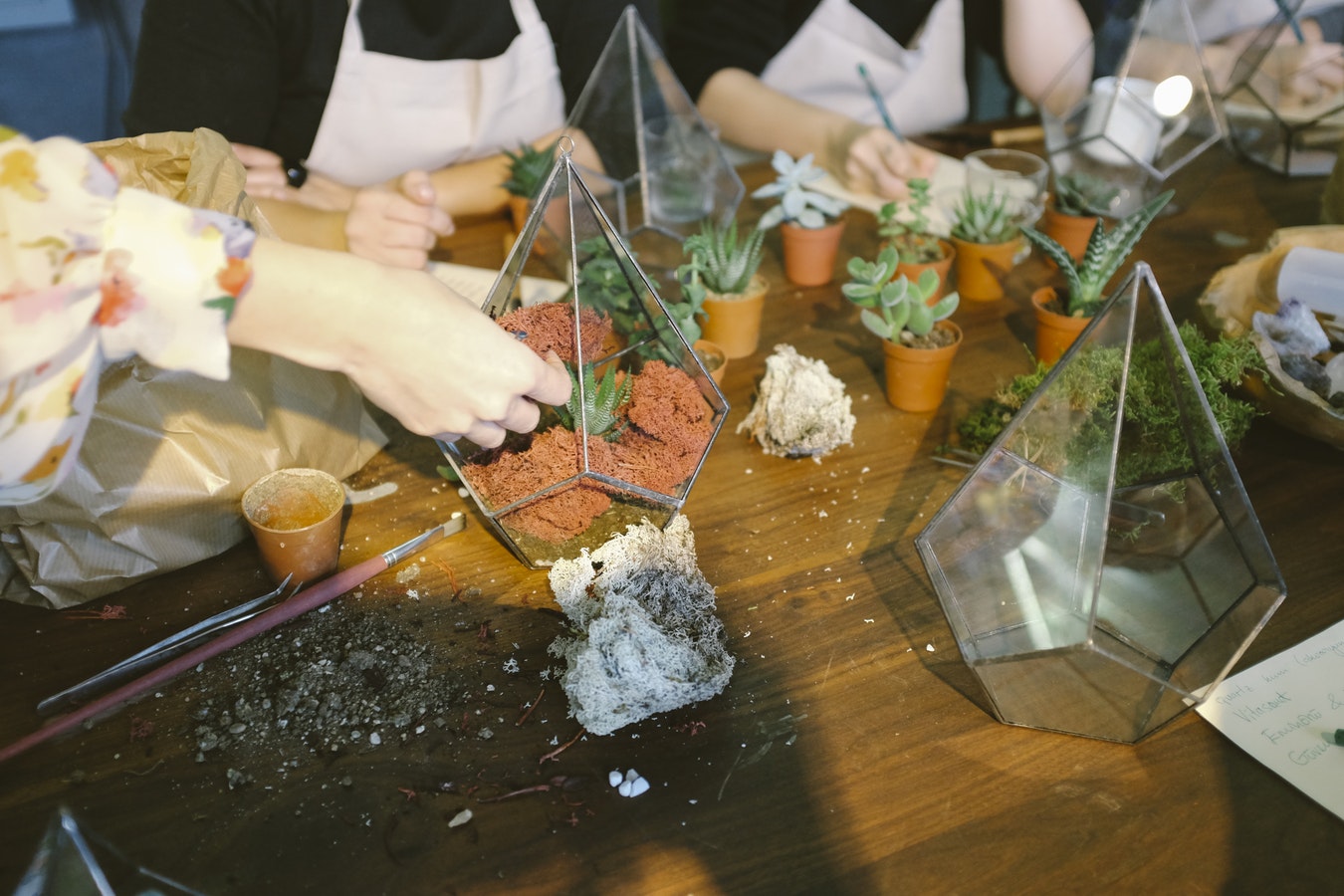 Atelier de confection DIY de terrarium