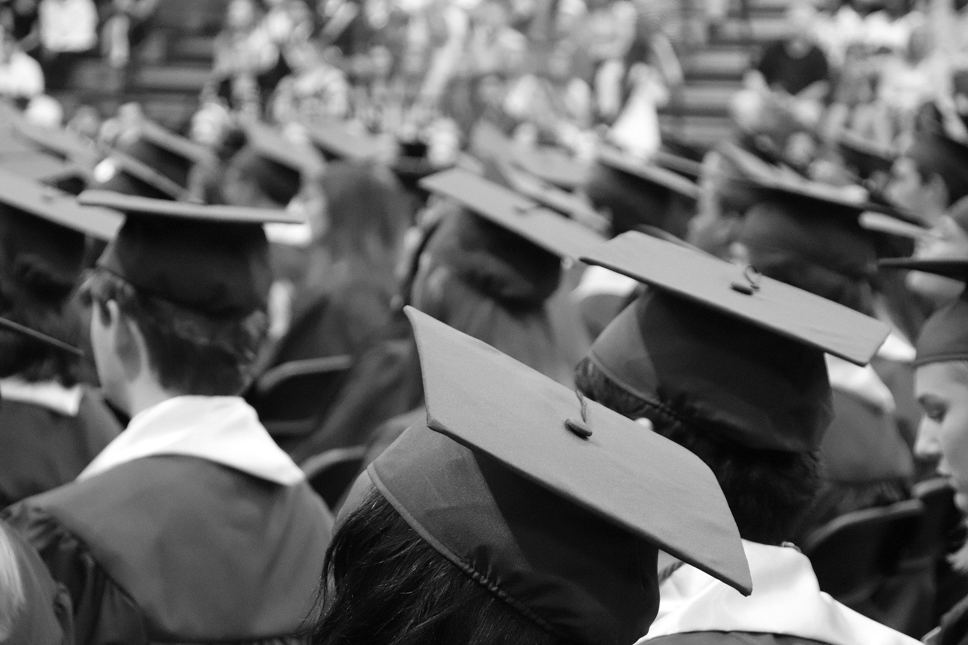 Etudiants vus de dos photographiés en noir et blanc à une cérémonie de remise de diplôme
