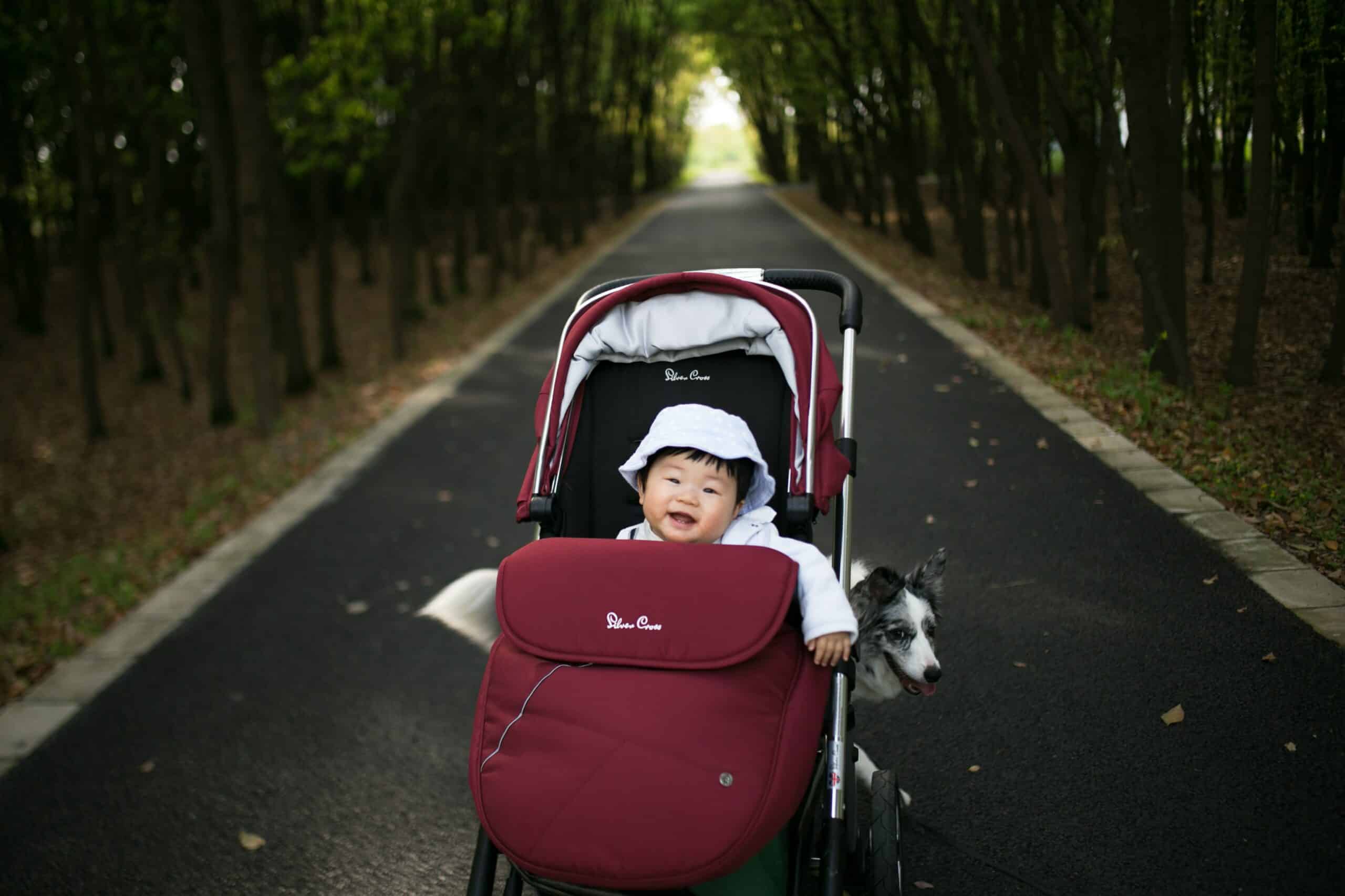 Poussette pour bébé